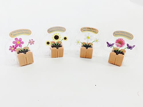 Solar Powered Dancing Collect & Connect ~ SET OF FOUR ~ in Flower Boxes