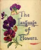 By Margaret Pickston - Language of Flowers Hardcover – 16 Sept. 1968