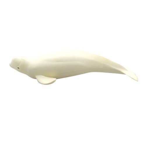 Beluga Whale Marine Life Toy Model