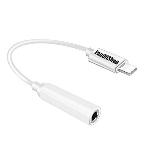 Raytine Adapter Music Earphone Connector Convertor 2 in 1 Accessories Charger