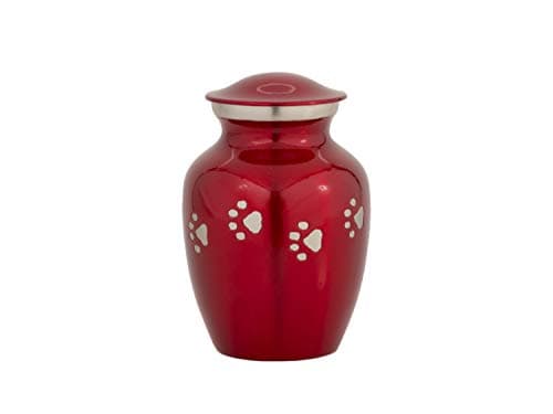 Enshrined Memorials Cremation Urn for Ashes - Cerberus Series Affordable Brass Handcrafted Pets Dogs Cats Funeral Burial Small 6 inch Paw Prints