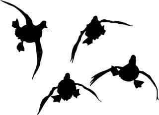 Waterfowl Decals Duck Hunting Decal - Four Ducks Duck Flying in The Wild - Flying Ducks Decal 5010SW