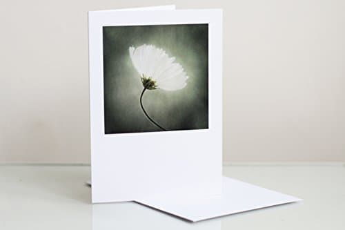Cosmos photographic greeting card, blank greeting card, card for all occasions
