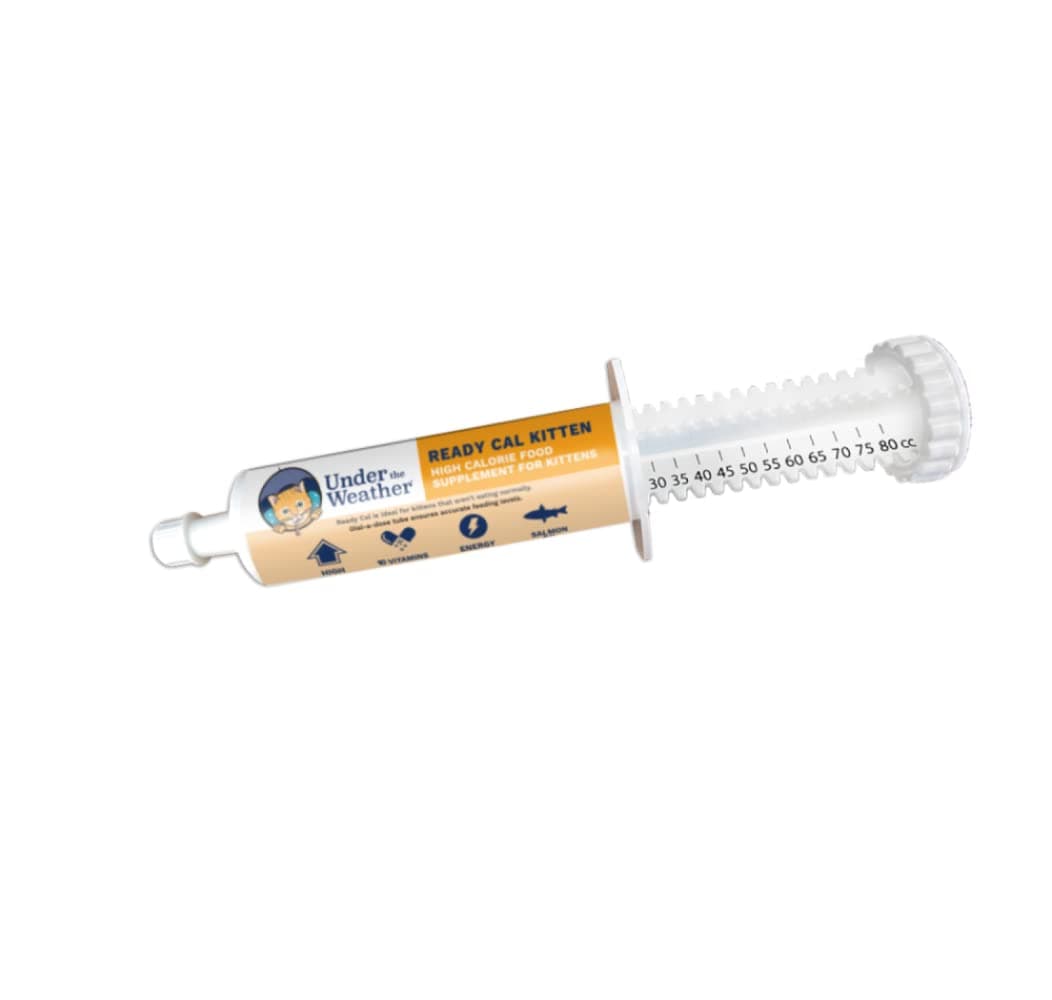 Under the Weather Pet | Ready Cal for Kitten | High Calorie Pet Nutritional Supplement for Weight Gain & Healthy Weight Maintenance | 10 Vitamins, 7 Minerals, Omega Fatty Acids & Carbohydrates | 80cc