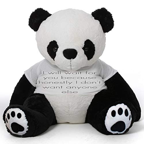 - HUG 'n' FEEL SOFT TOYS Big Teddy Panda Wearing I Will Wait for You Because Honestly I Don't Want Anyone Else T-Shirt 4 feet Panda_T Shirt_I Will Wait for You Plush & Stuffed Toys