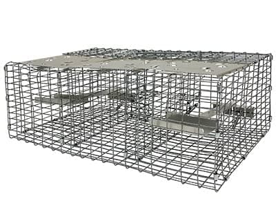 Troyer’s Birds’ Paradise Wire Sparrow Trap – Humane 2-Chamber Live Bird Trap with Spring-Loaded Trays – Durable Galvanized Metal Grid, Easy Baiting & Monitoring, Pole or Ground Mountable