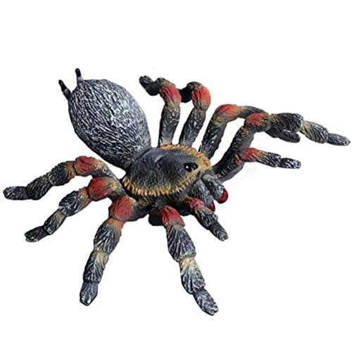 FLORMOON Realistic Animal Figures - Spider Action Model Lifelike Insect Toy Figures - Educational Learning Toys Birthday Set for Boys Girls Kids Toddlers (Black)