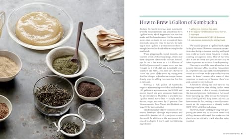 Storey Publishing Big Book of Kombucha