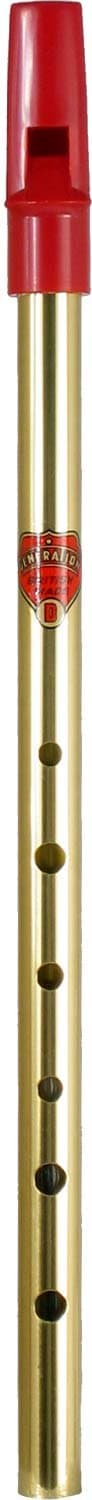Brass D Generation Tin Whistle