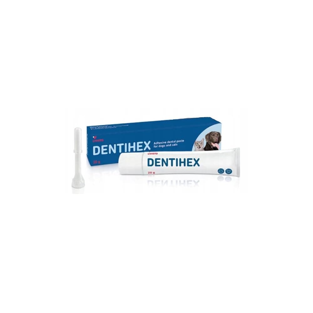 Toothpaste - 20g