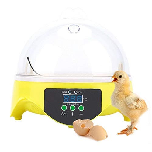Fipper 7 Eggs Digital Automatic Poultry Hatcher Hatching Incubator Chicken Duck Bird