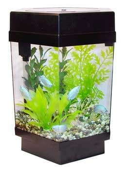 Tom (Tominaga/Oscar) Eco-Hex 5Gal Hex Tank w/ Power Filtration And PowerCompact Flo Light
