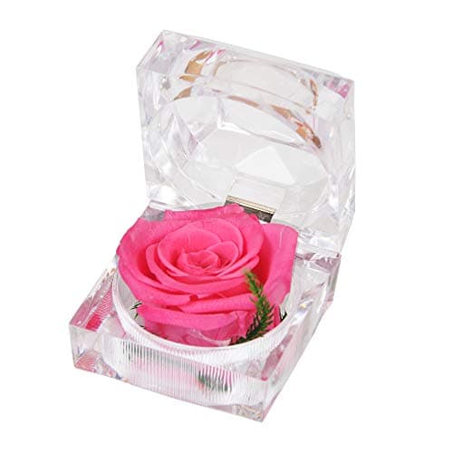 SANRAN Eternal Flower | Preserved Rose, Real Forever Rose in Delicate Metal Box, for Mom, Girlfriend, Her, Mother's Day, Valentine's Day, Thanksgiving Day, Christmas, Anniversary (Dark Violet)