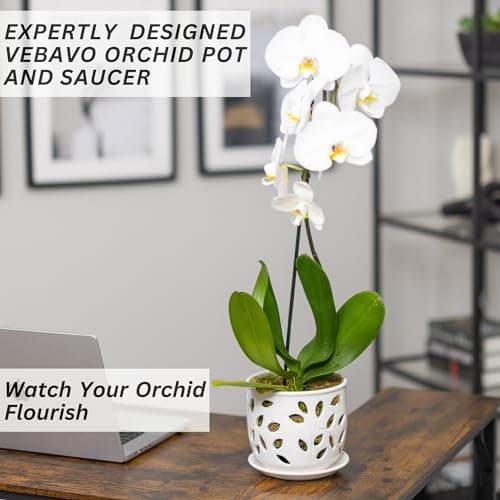 VEBAVO Orchid Pot with Holes & Saucer Ceramic 6.5 in. Indoor or Outdoor Large Pot for Orchid Care & Root Health with Precise Aeration & Drainage – Durable for Repotting or New Plants
