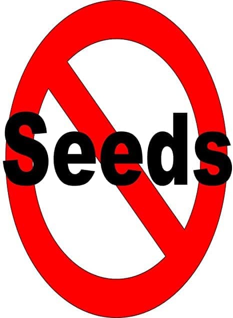No Seeds