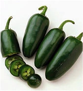 Seedscare Go Green Pepper, Chilli Jalapeno Pickled Chilli Seeds (Pack of 30 Seeds)