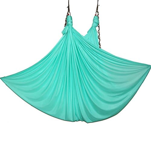 Aerial Yoga Hammock 5.5 Yards Yoga Swing Pilates Silk Home Fitness Include Carabiner,Daisy Chain, Pose Guide