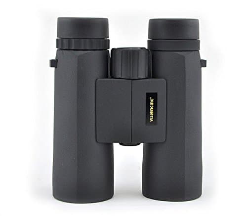 Binocular Visionking 10x42 Compact Clear, Large Eyepiece Waterproof Binocular for Adult Kid, Durable High Power Easy Focus Binocular for Bird Watching,Concert, Outdoor Sport Hunting,Theater, Travel