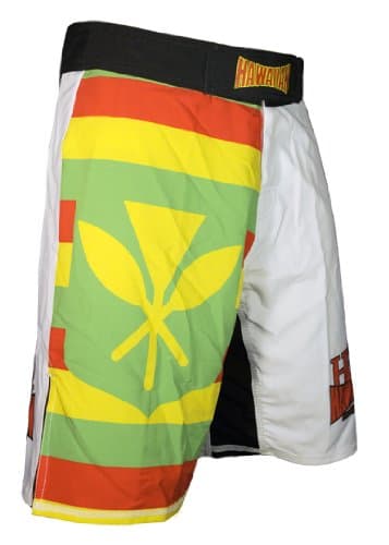 Sovereignty Flag Quad-Tech Stretch Fabric Fightshorts