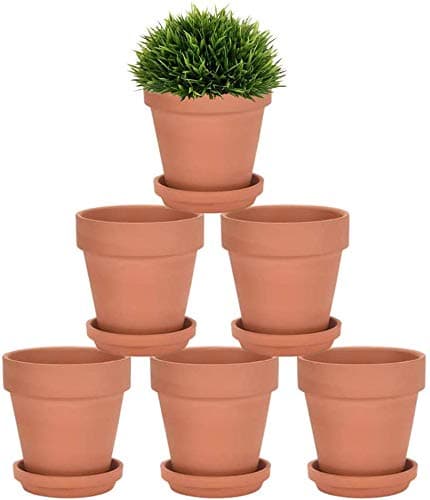 Riseuvo 5 Inch Terra Cotta Pots with Saucer - 6 Pack Clay Flower Pots with Drainage, Great for Plants, Crafts, Wedding Favor (5 inch)