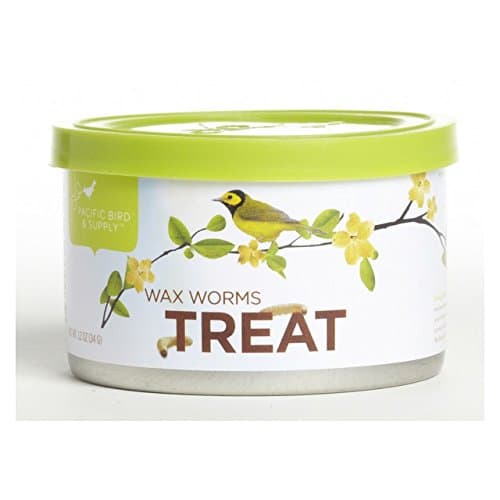 Pacific Bird & Supply Co. Wax Worm Treat 1-oz can