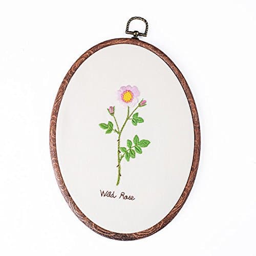 Embroidery Kit For Beginner Flower Design DIY Home Wall Decor Wild Rose