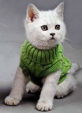 Doggie Style Store Green Plain Knitted Cat Kitten Pet Jumper Sweater Knitwear – 6 Sizes