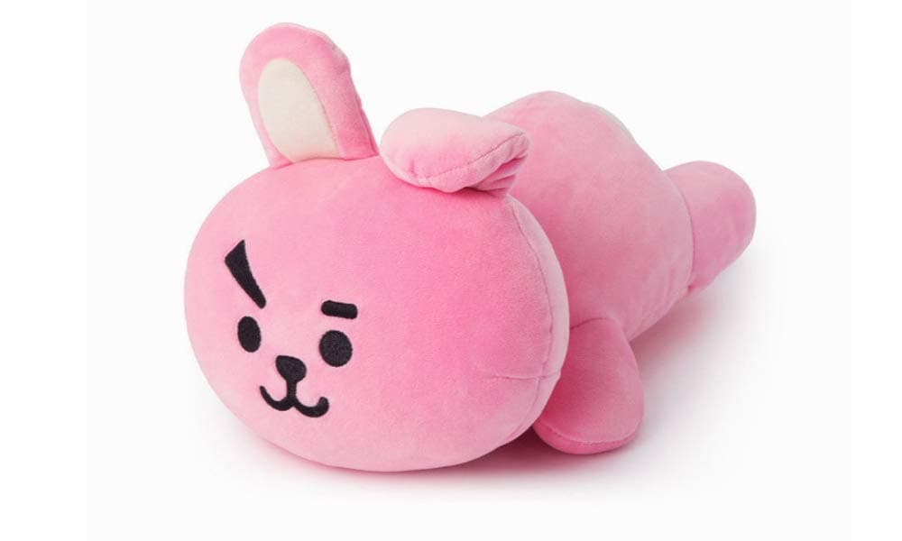 Lerion Pillow Doll Plush Small Plush Puppets Toy Bangtan Boys Throw Pillow Cushion Perfect for Home/Car/Office/Travel/School Decor Great Gift (Cooky)