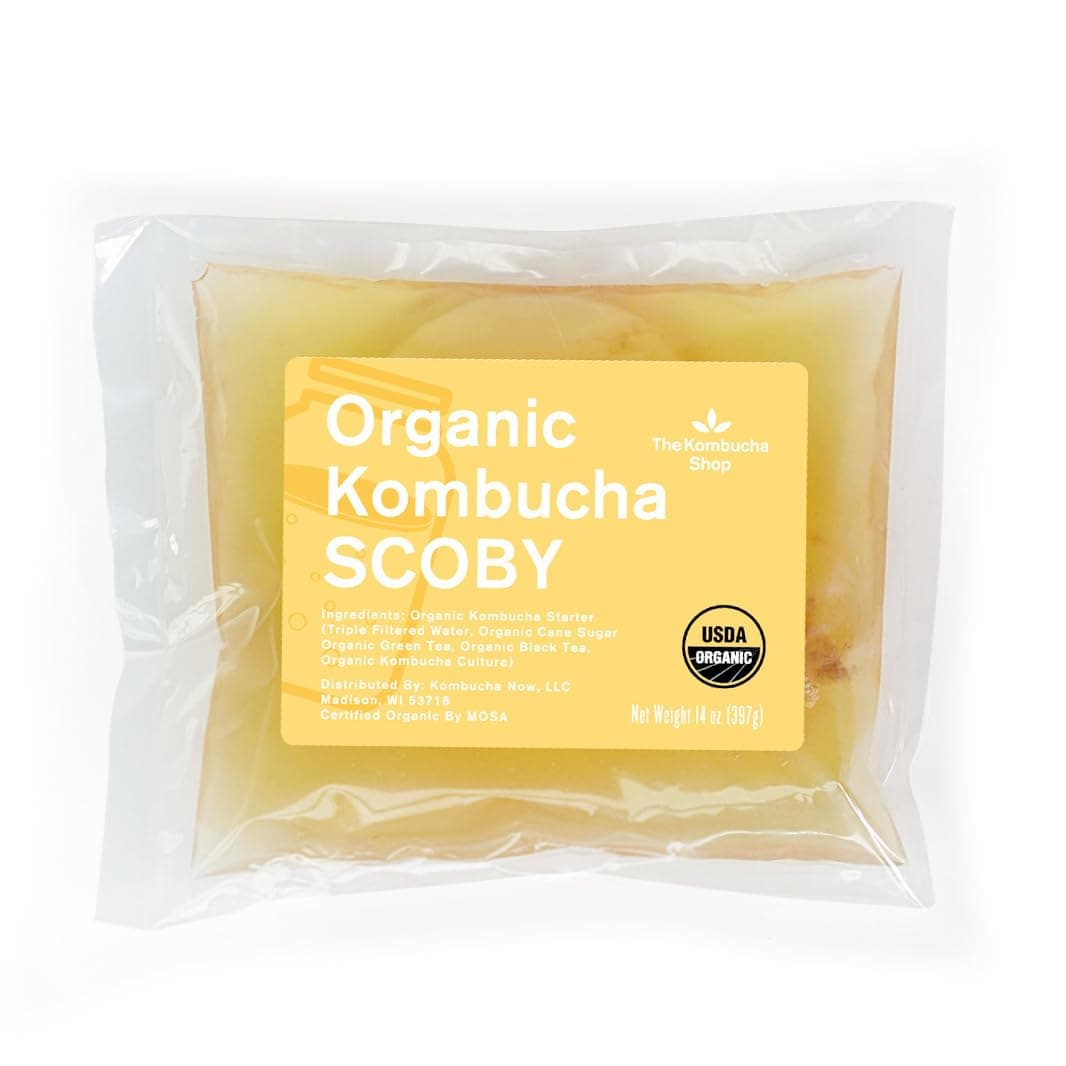 100% Organic SCOBY Kombucha Starter Kit - 100% Guaranteed to Brew - Fresh, Live Culture with Starter Liquid - The Kombucha Shop