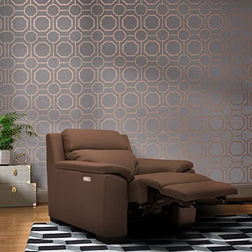 Sofas & More Carter Motion 1 Seater Leather Sofa Scandinavia Oslo Rust (FG111ACMS02CA1STRMOSNORUST)