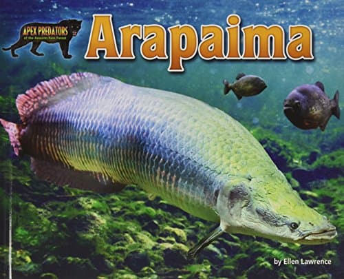 Arapaima (Apex Predators of the Amazon Rain Forest)