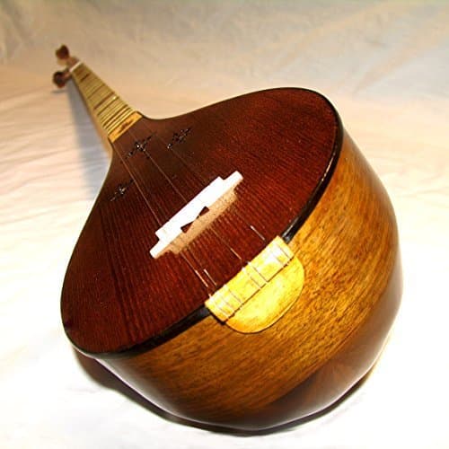 Persian Setar by Mafakheri