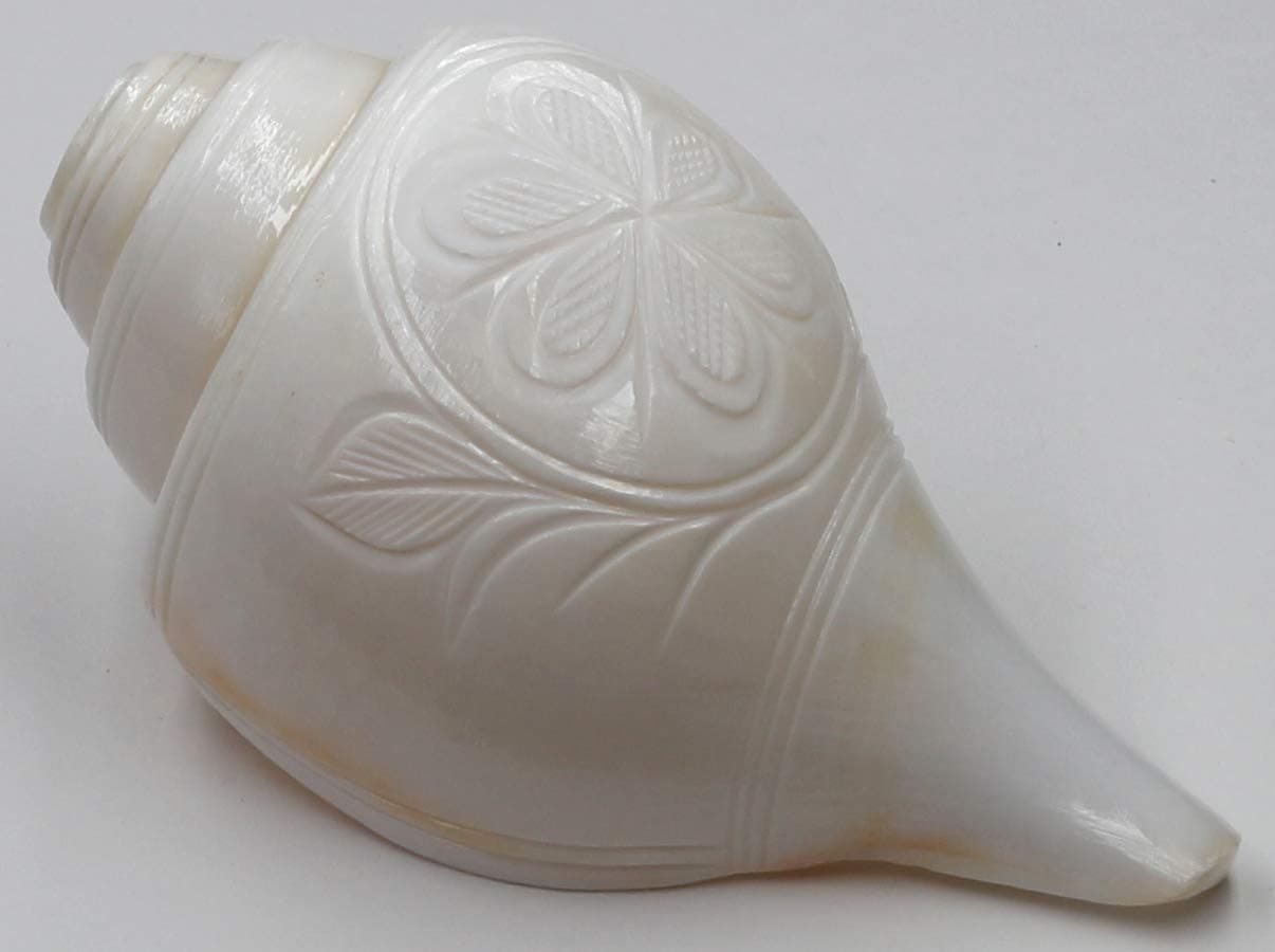 5 Inch Blowing Shankh