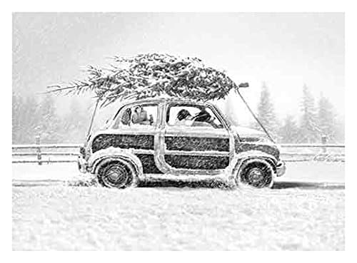 Avanti 10-Count Christmas Cards, Dogs Driving Home for the Holidays