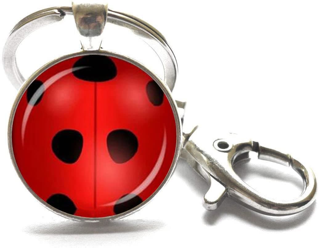 Ladybug Keychain, Lady Beetle, Ladybird, Red Ladybug Keychain, Antique Insect Print Key Ring.XT075 (A)