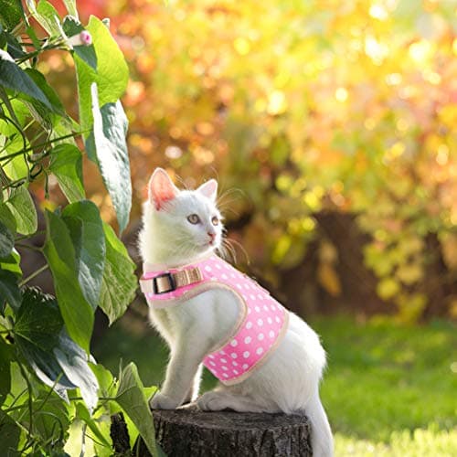 Pupteck Checkered Frills Soft Mesh Dog Vest Harness Puppy Padded Pet Harnesses For Cat Small Dogs