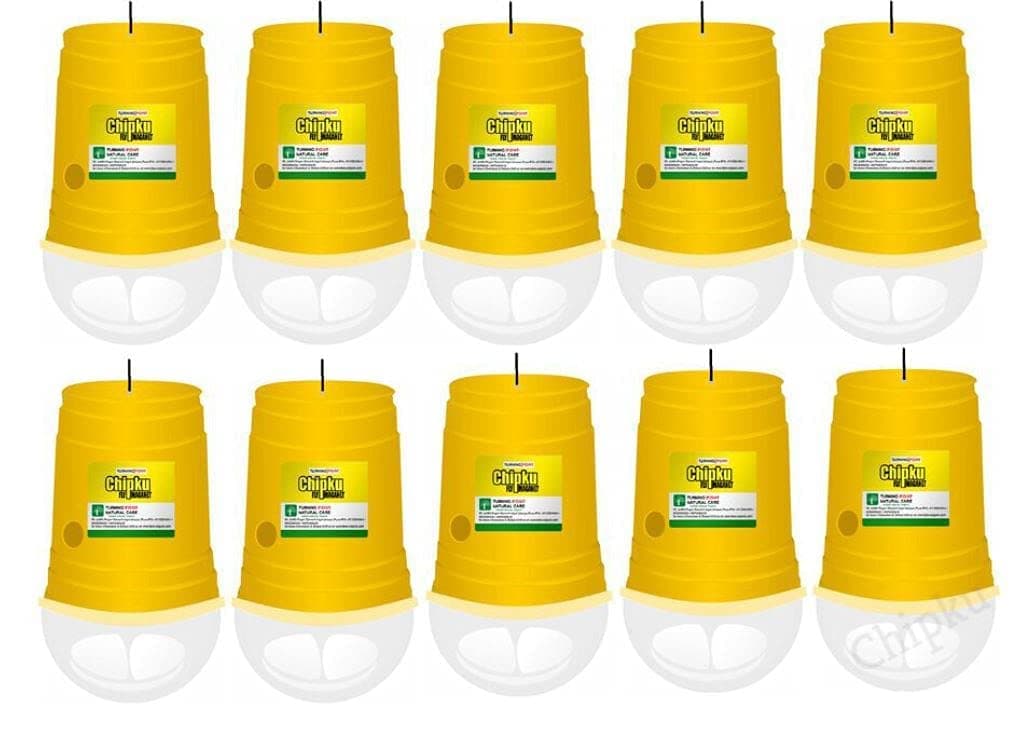 Chipku Glass Trap with Fruit Fly Lure Pack of 10 | Powerful Bactrocera Dorsalis Control for Mango, Guava, Papaya & Other Fruit Crops | Organic Pest Management for Garden & Farm Use