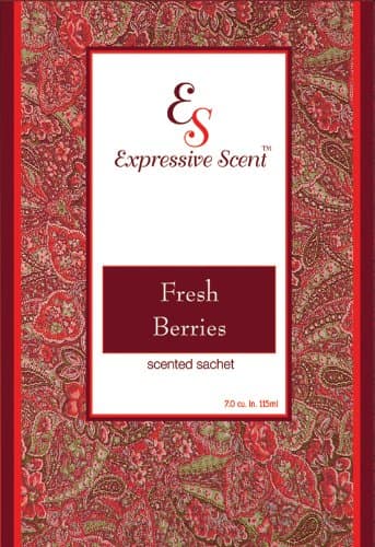 Expressive Scent 6 Pack Fresh Berries Large Scented Sachet Envelope