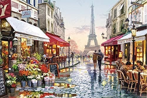 1000 Piece Jigsaw Puzzle,Animal World Printing Puzzle Educational Intellectual Decompressing Fun Puzzle Game Toys Gift for Kids Adult (Paris Street)