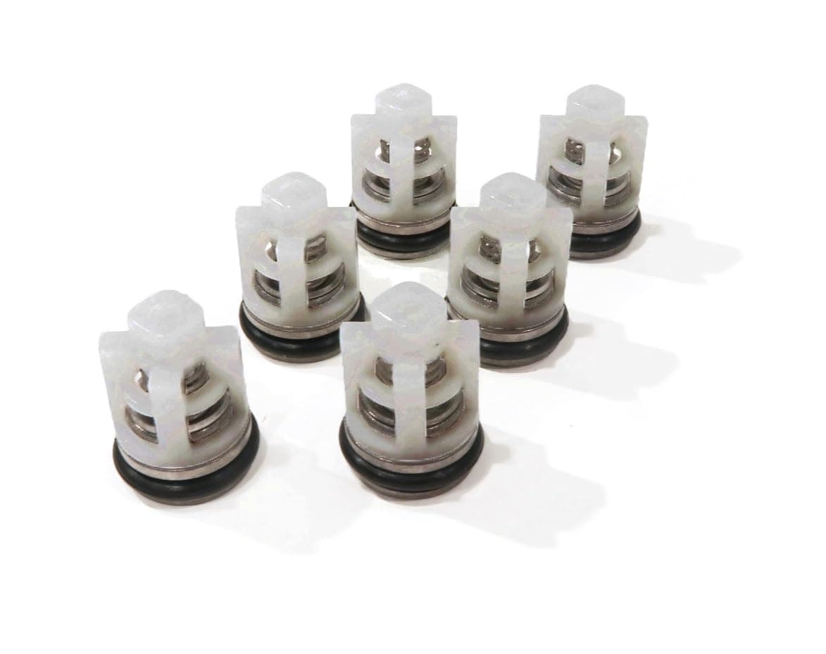 The ROP Shop | Check Valve Repair Kit for Homelite 308653052, 308653007 Pressure Washer Pumps