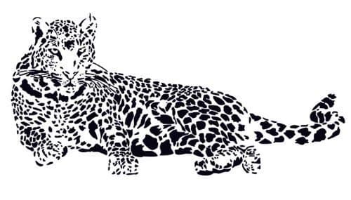 Huge Cheetah Leopard Jaguar Cat Wall Mural Vinyl Decal