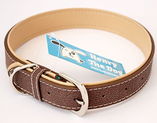 NEW Golden Retriever - Brown Dog Collar - Large & X-Large Size - (Large 40cm - 50cm / 15.7-19.7 inches)