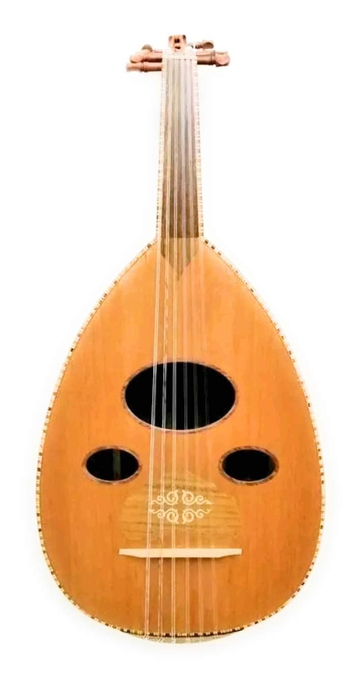 Professional New Oud by Zeryab Folk Fretless Guitar+ Labella strings