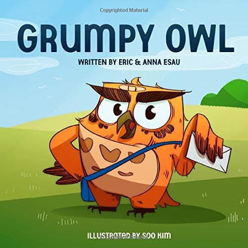 Grumpy Owl