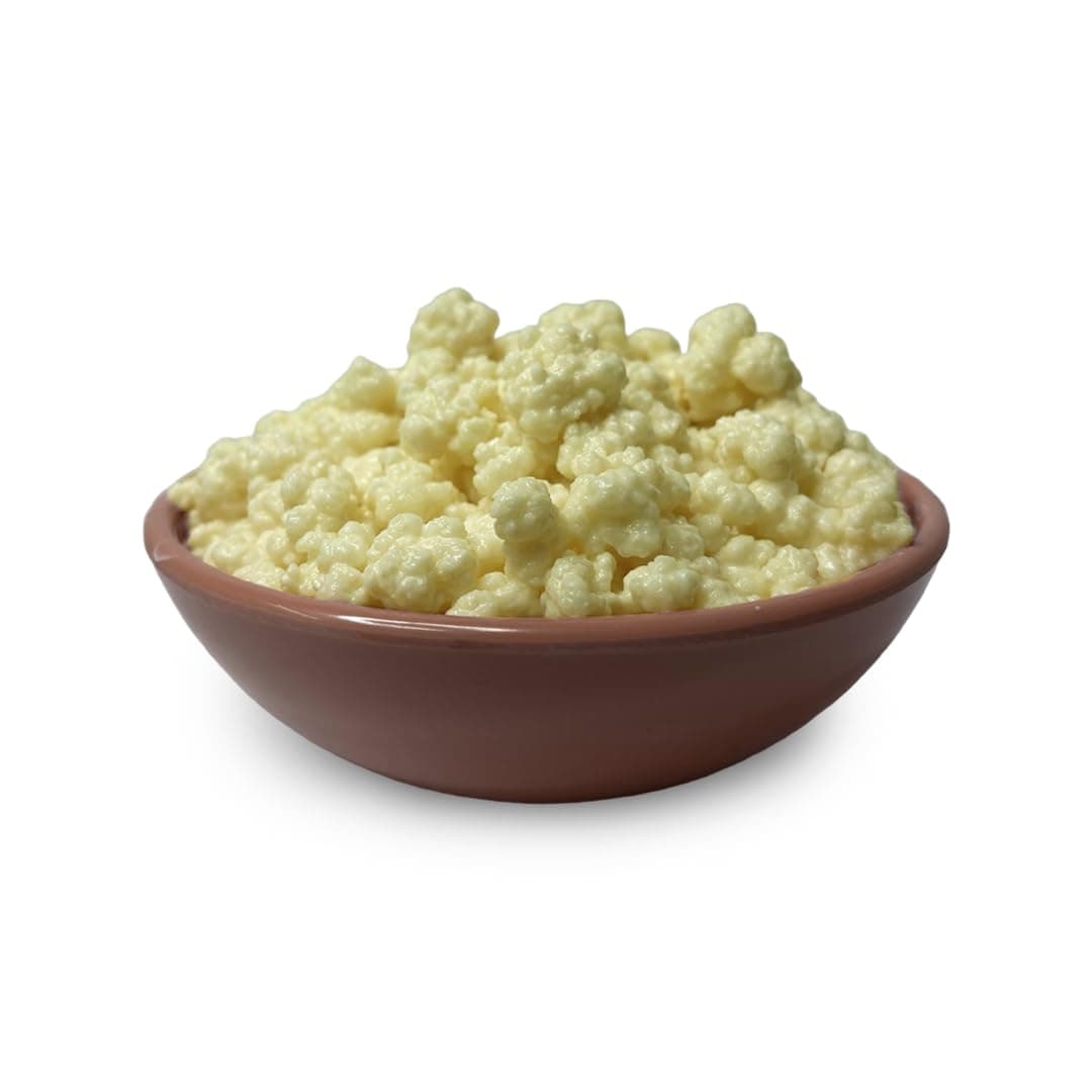 Kelifta by Feelgood Kefir®- Live Large Sized Milk Kefir Grains (20g) | 55+ Live Active Strains | Includes Strainer, Spoon & 1 Milk Kefir Starter sachet | Reusable & Multiplying | Kefir Probiotic