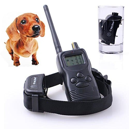 Waterproof TPU Electric Remote Training Collar for 2 Dogs