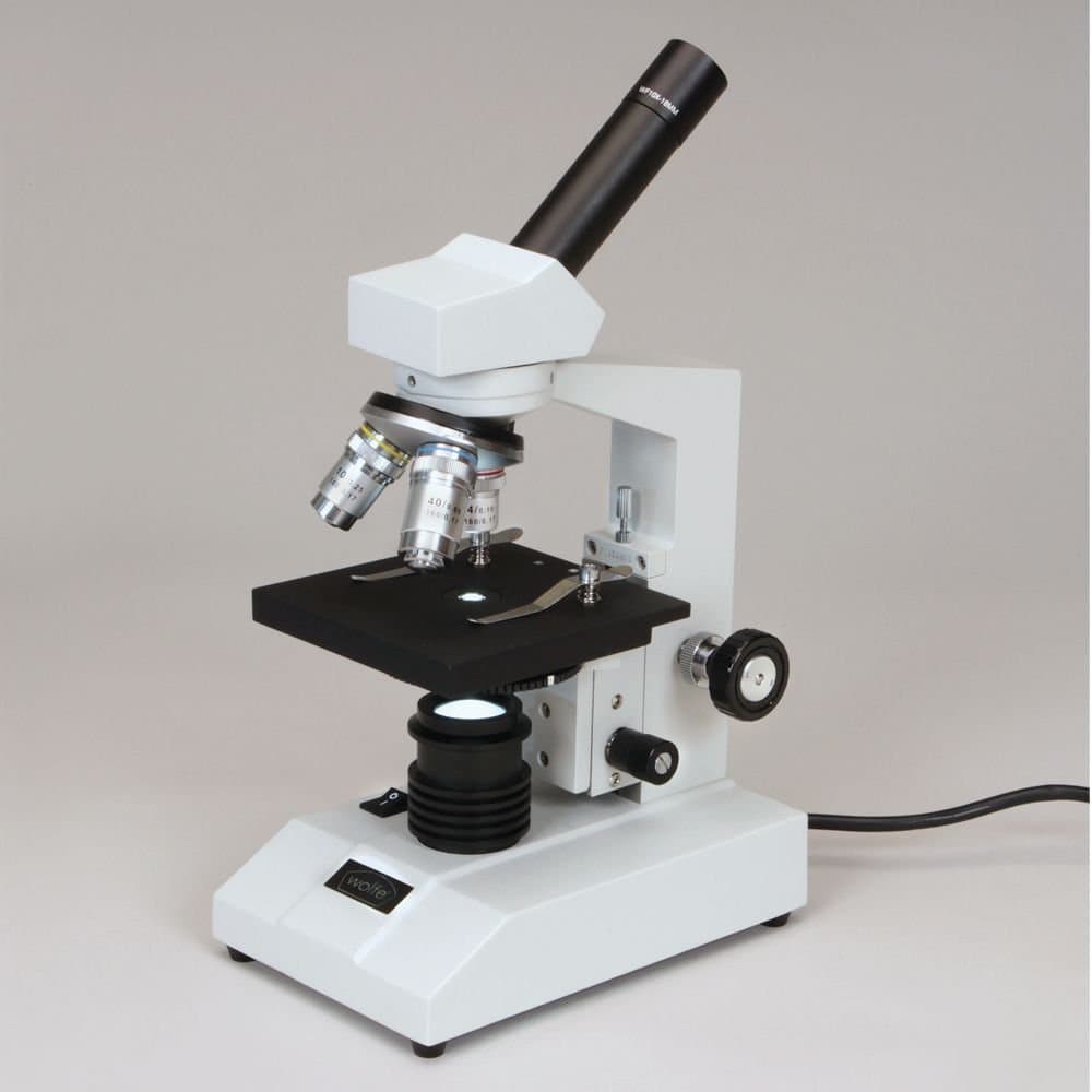 Wolfe CFL Educational Microscope