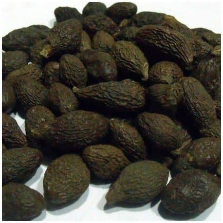 ShubhBhakti™ Niranjan Phal - Sterculia lychnophora- 50 Grams