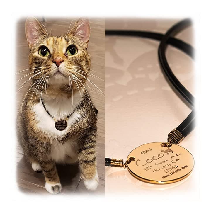 Personalized Cat Collars for your pet cat Engraved Custom Identification Tag Pet Cat Kitty Name ID Tag Symbol Name Address Phone number