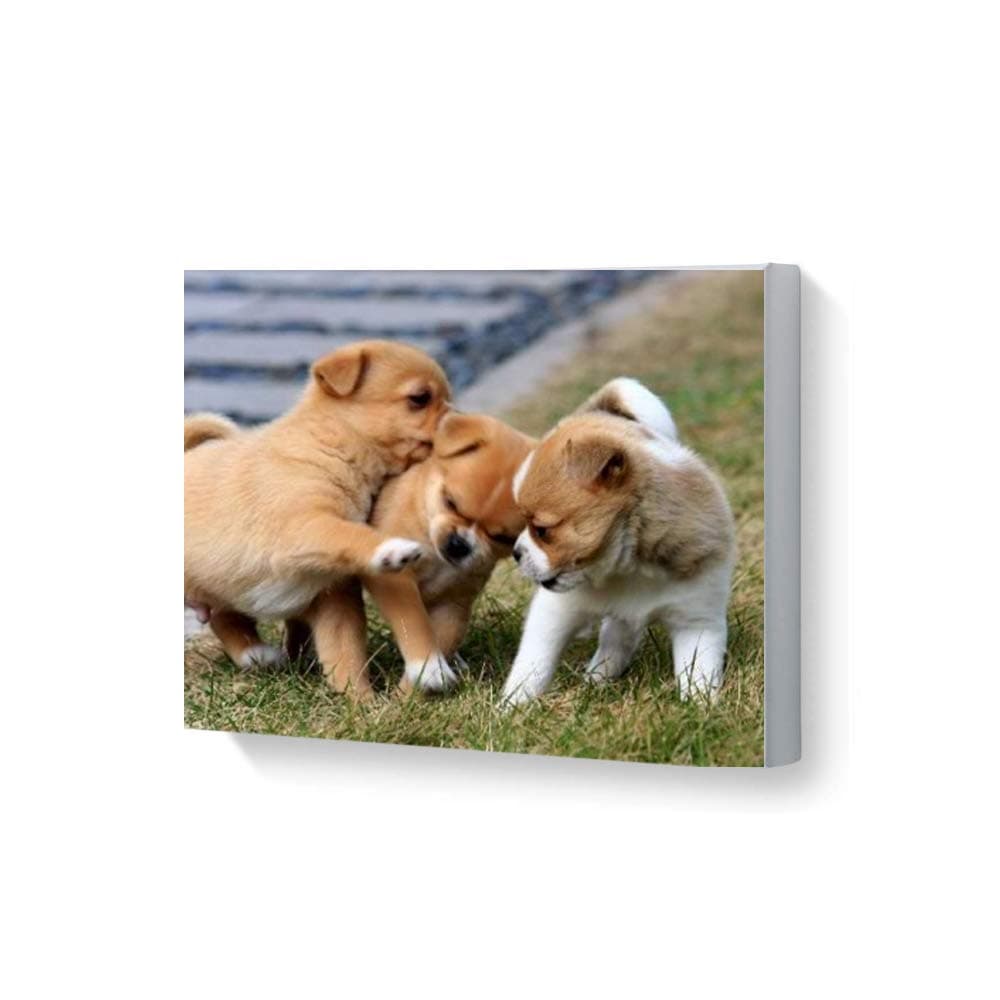 Your Personalised Photo Image Picture on Canvas Print Framed Ready to Hang Wall Art (36cmx28cm With Frame)